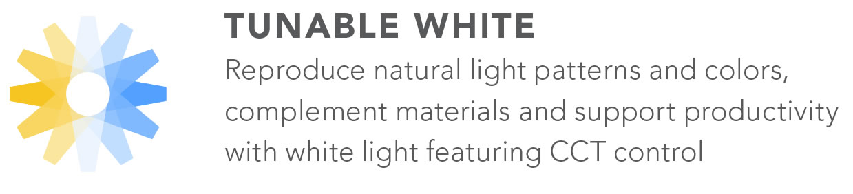 Tunable White Dynamic Architectural Lighting Design